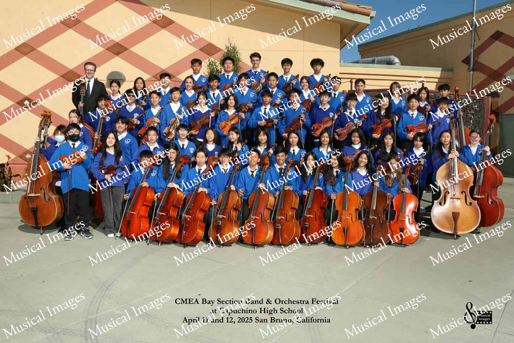 Musical Images